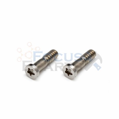 iPhone 5 Bottom Pentalobe Screws - Silver